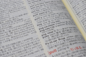 英語 勉強 社会人