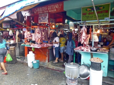 フィリピン 留学