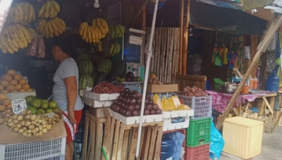 フィリピン　留学