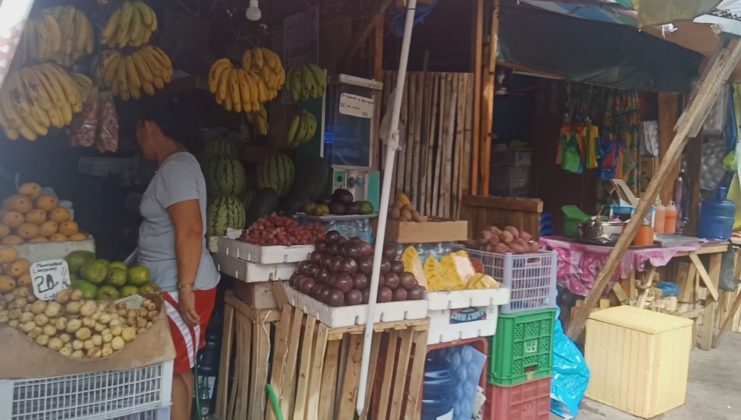 フィリピン 留学