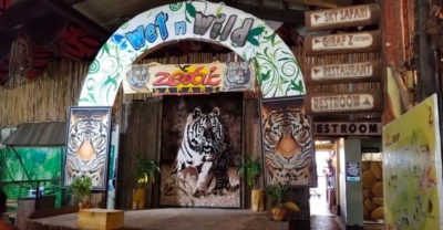 フィリピン 観光 おすすめ