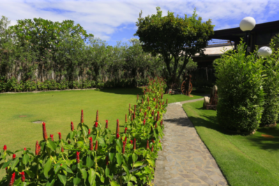 フィリピン ドゥマゲテ