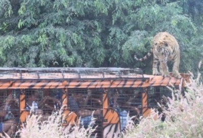 スービック 観光