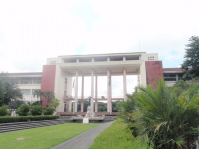 語学留学  社会人