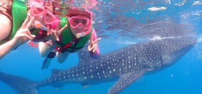 セブ島 シュノーケリング