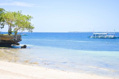 セブ島 ダイビング