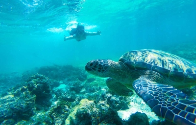 フィリピン 観光 おすすめ