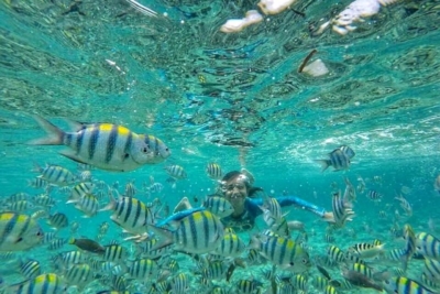 セブ島 シュノーケリング