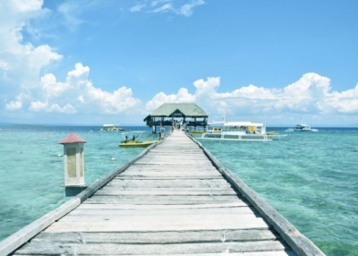 セブ島 ダイビング