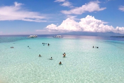 セブ島 ダイビング