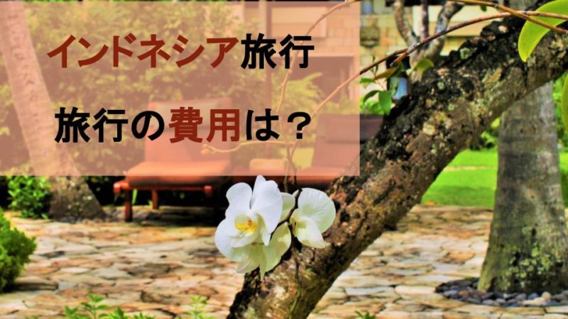 インドネシア旅行でかかる費用相場 渡航費や滞在費まとめ