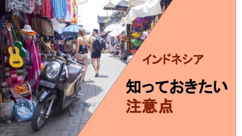 インドネシア旅行前に知っておきたい注意点！ 治安と必要な予防接種とは