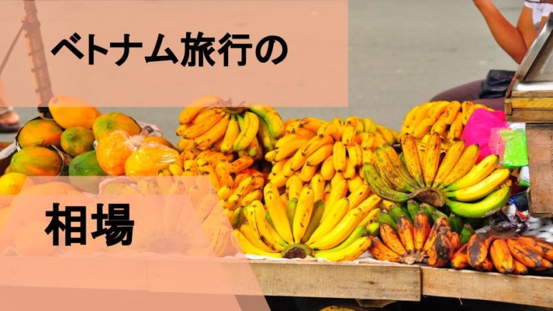 ベトナム旅行の費用相場 ホテル・航空券・食費・ツアー料金まとめ