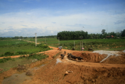 ベトナム 旅行 予防接種