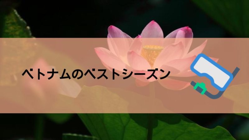 【ベトナム 旅行】地域ごとにベストシーズンをご紹介!!