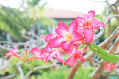 生活に適した環境