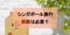 【シンガポール旅行】保険は加入したほうが良い？後悔しない保険の考え方と相場