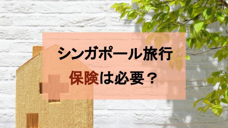 【シンガポール旅行】保険は加入したほうが良い？後悔しない保険の考え方と相場