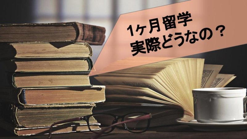 1ヶ月の短期留学の成果とは？ 学べることと活かし方