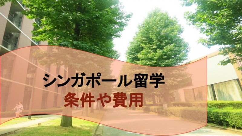 【シンガポール留学】シンガポール国立大学への留学情報まとめ 条件や費用は？