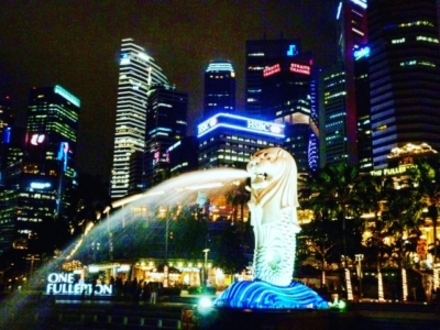 シンガポール旅行 必要なもの