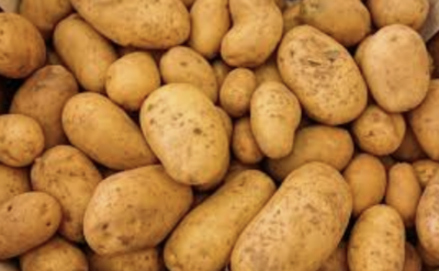 アイルランド留学 メリット