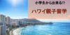 【ハワイ留学】人気急上昇!!親子留学の5つのメリットをご紹介！
