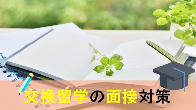 交換留学の面接攻略！ 押さえておきたいポイントとよく聞かれる質問