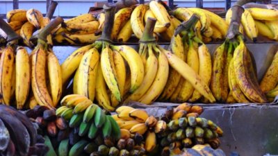 マレーシア マラッカ