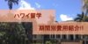 【ハワイ留学】期間別の必要留学費用や安く抑えるコツをご紹介!!
