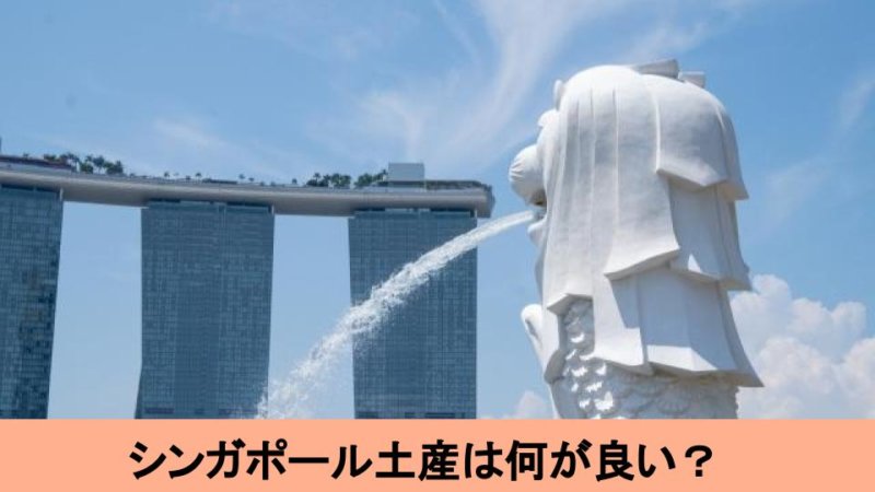 絶対に外さない！ジャンル別シンガポールのおすすめ土産15選