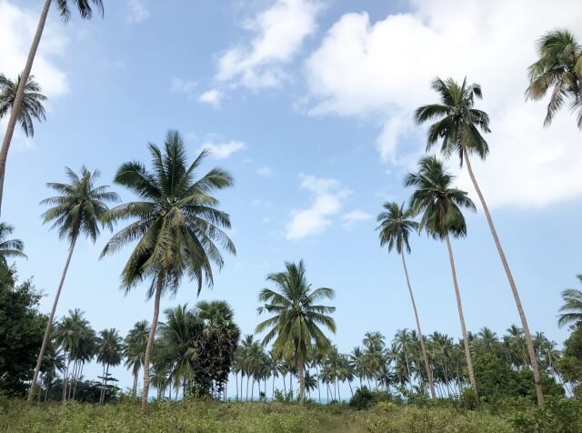 タイ　サムイ島