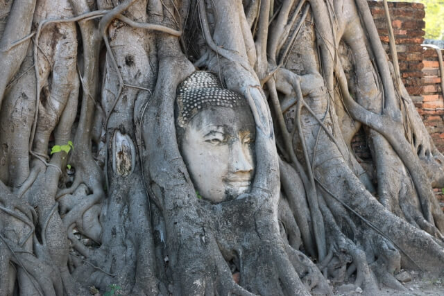 タイ　ワットマハタート