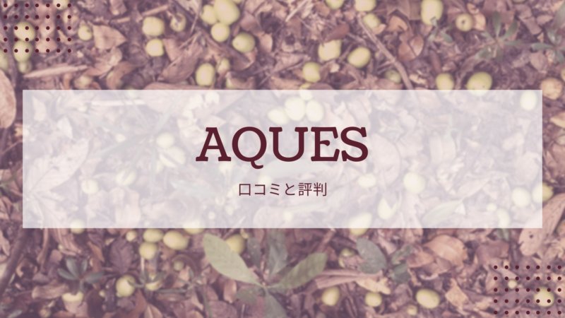 【辛口】AQUES口コミと評判は？効果や料金をTOEICフルスコアラーが徹底解説