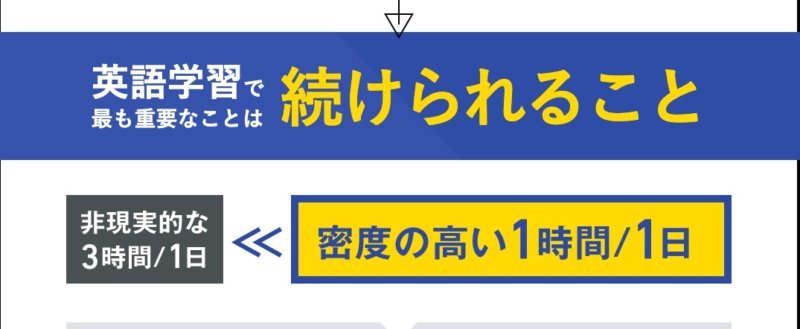 スパルタバディ