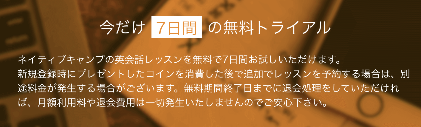 ネイティブキャンプ　効果