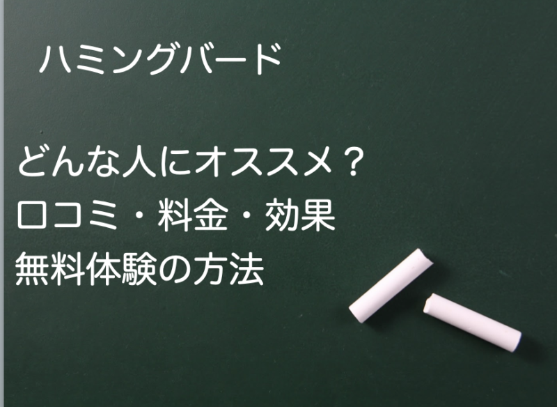 【辛口】ハミングバードを徹底解剖！口コミ・効果・料金・無料体験の方法までTOEICフルスコアラーが解説
