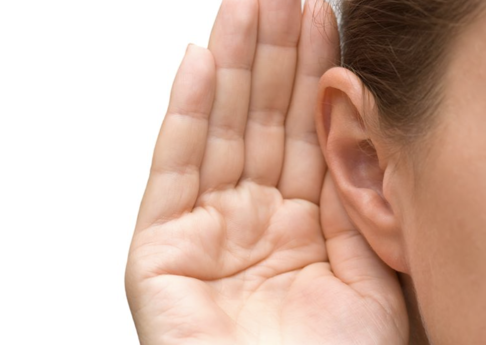 プライムイングリッシュ