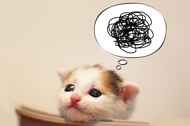 ジオスオンライン