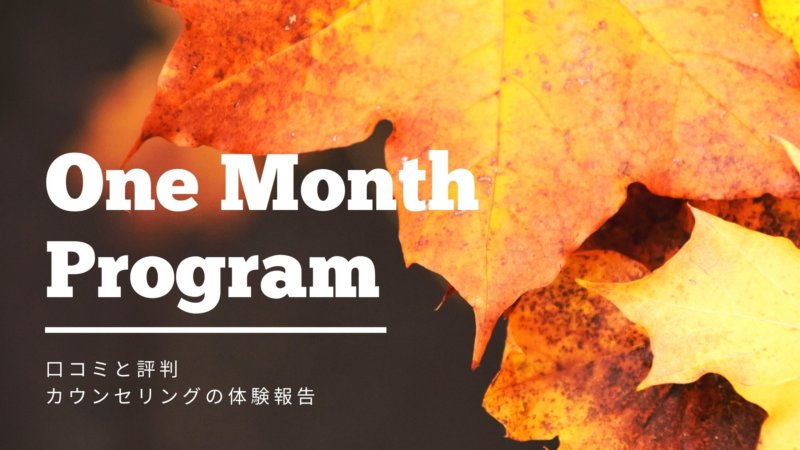 【辛口】One Month Programの口コミと評判 カウンセリングを体験！